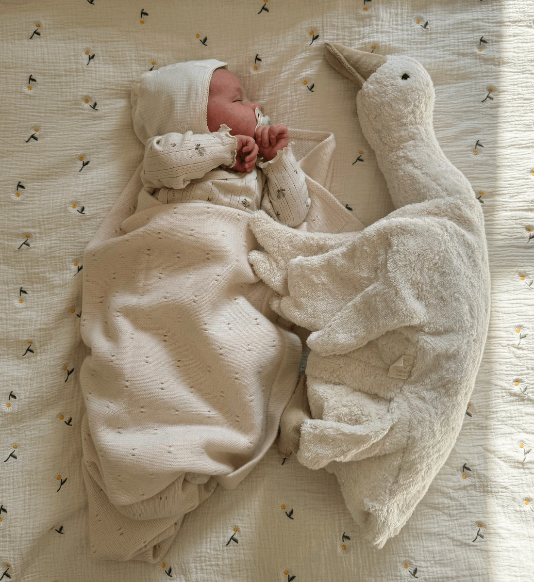 Lil' Leo Babydecke aus Merinowolle