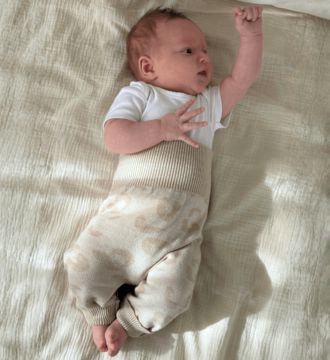 Mitwachsende Leggings Hose aus 100% Merinowolle Lil' Leo